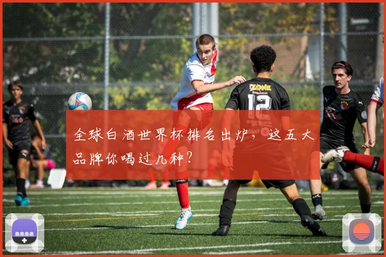 全球白酒世界杯排名出炉，这五大品牌你喝过几种？