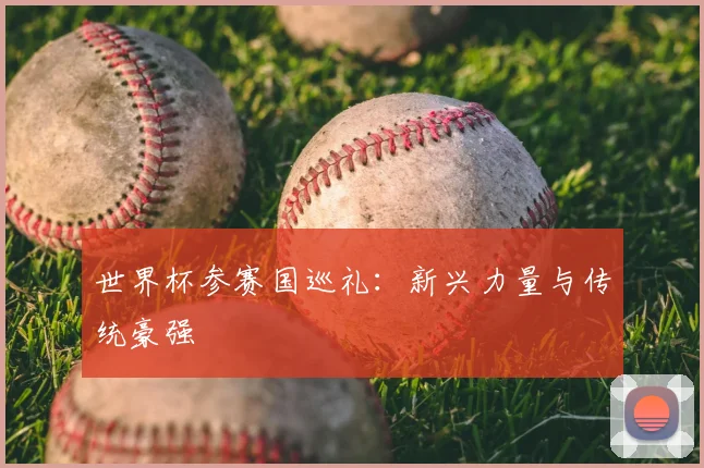 世界杯参赛国巡礼:新兴力量与传统豪强