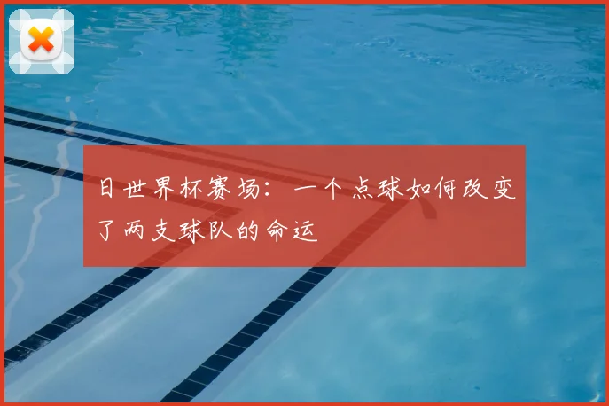 日世界杯赛场:一个点球如何改变了两支球队的命运