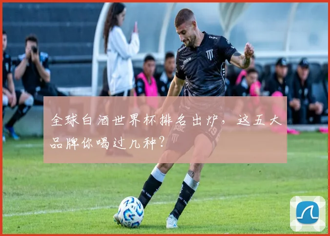 全球白酒世界杯排名出炉，这五大品牌你喝过几种？